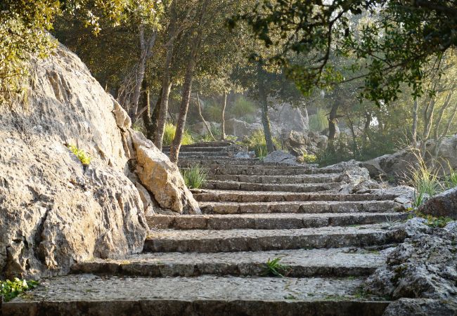 Apartamento en Inca - Apartamento Can Pujadas