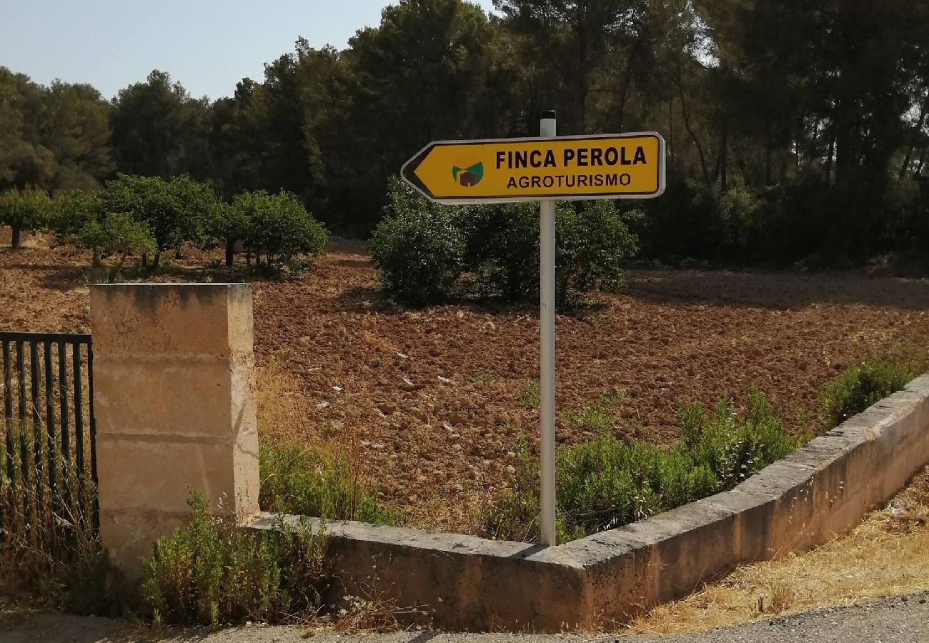 Casa en LLucmajor - Cas Rellotger