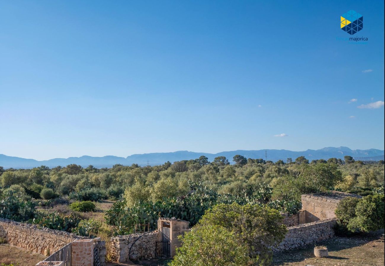 Casa en LLucmajor - Son Veri Dalt