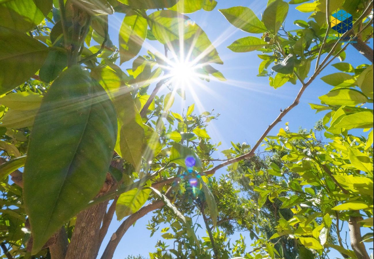 Casa en LLucmajor - Ca Sa Comare