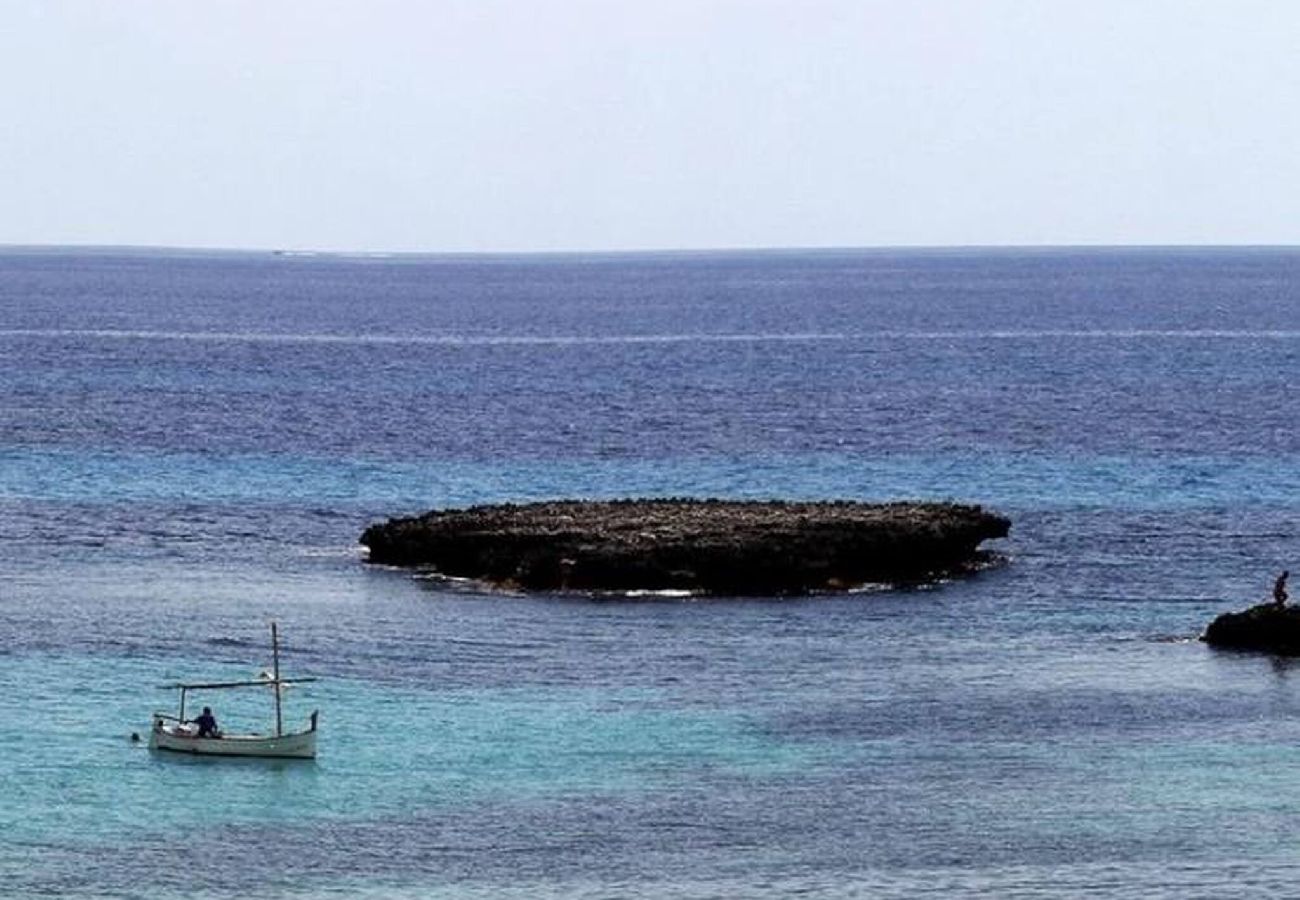 Casa en Manacor - Cas Bufador
