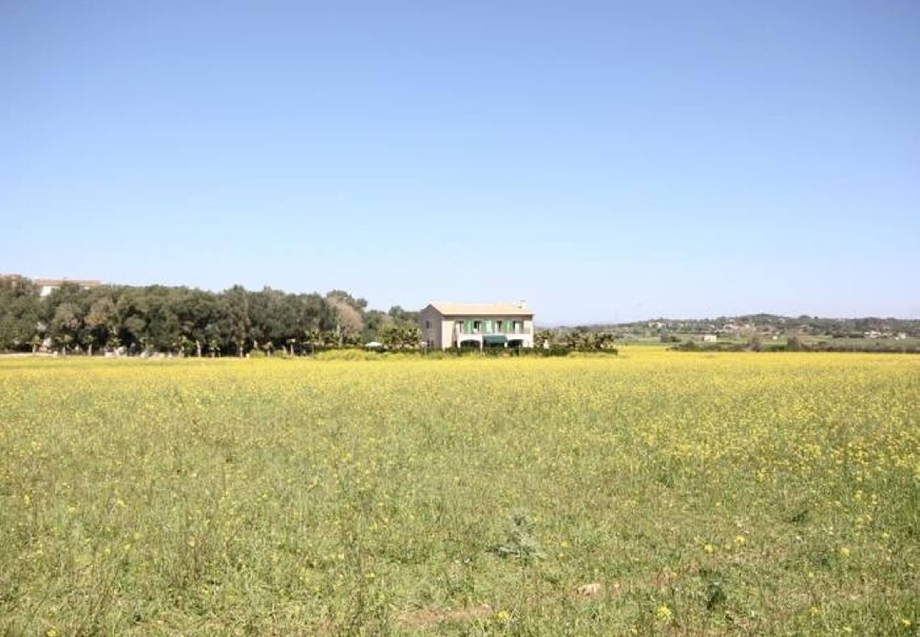 Casa en Sant Joan - Villa El Palmeral
