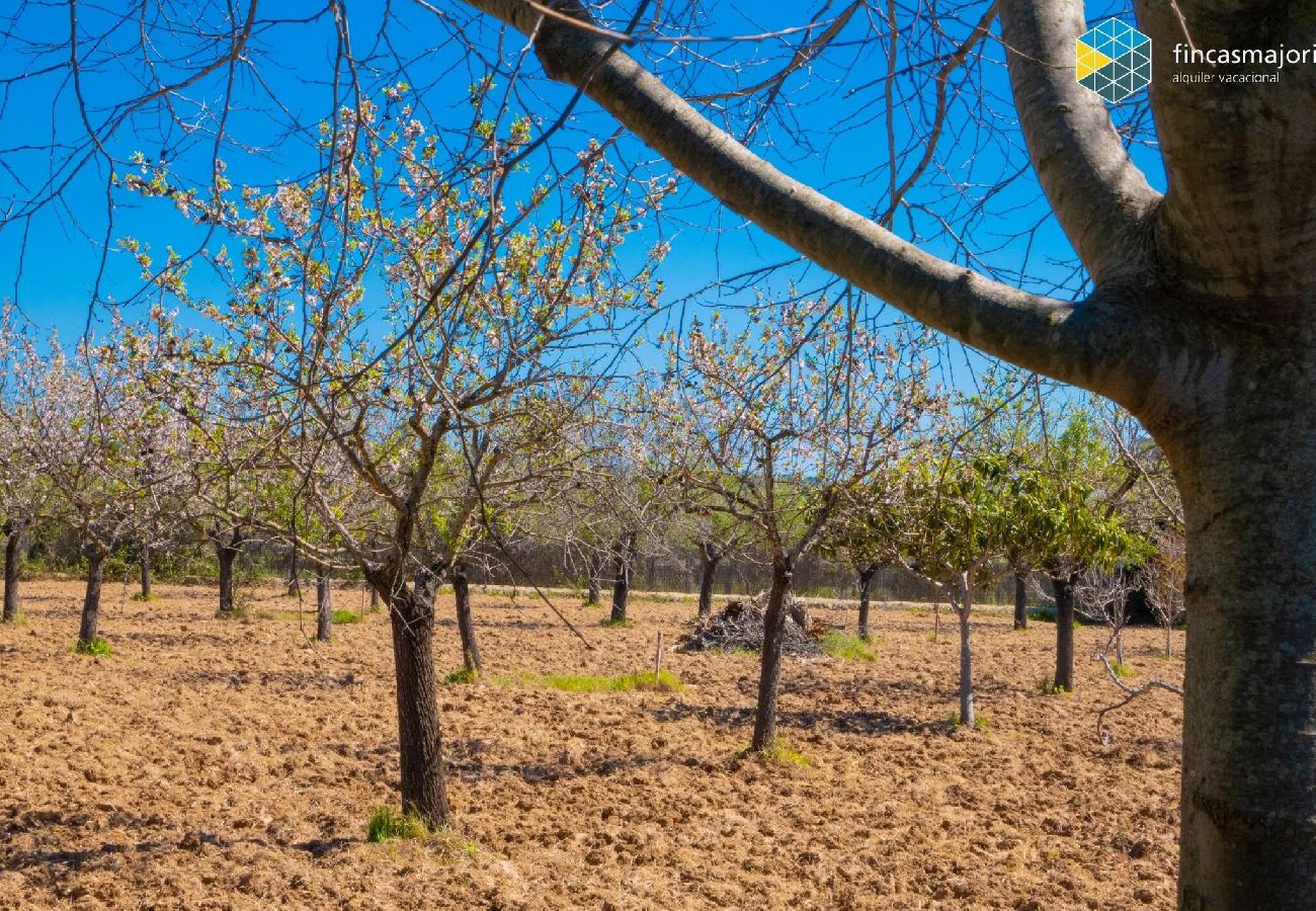 Casa en Caimari - Can Moreu