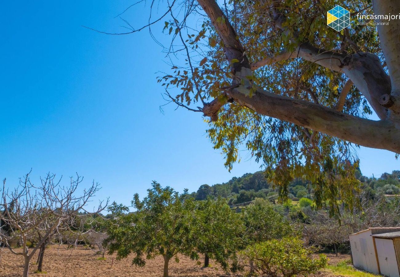 Casa en Caimari - Can Moreu