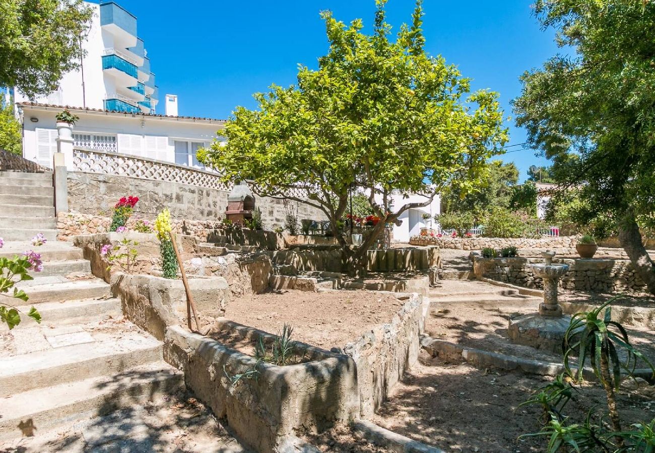 Villa en Palma  - Villa Los Brezos