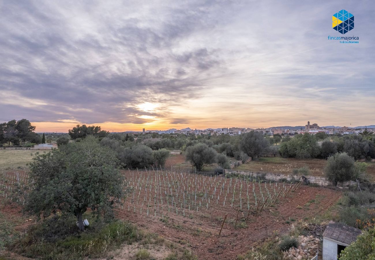 Casa en LLucmajor - Finca Mica