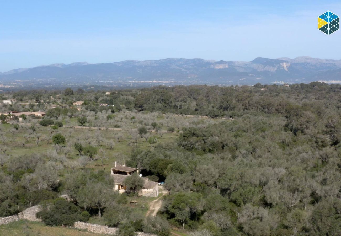 Casa en Lloret de Vistalegre - Finca na Pruna Holiday Home