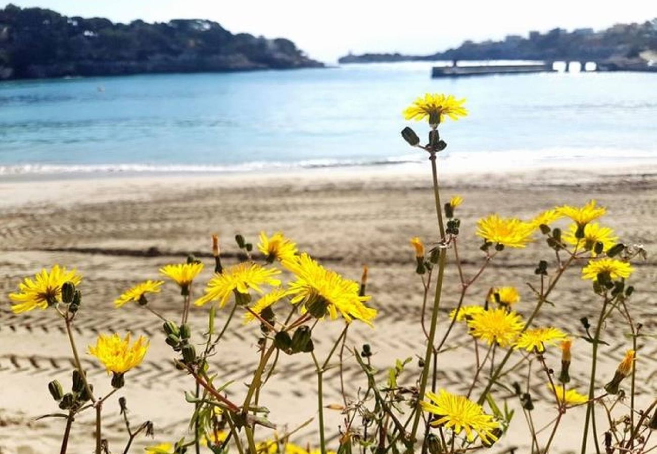 Casa en Porto Cristo - Can Tassi