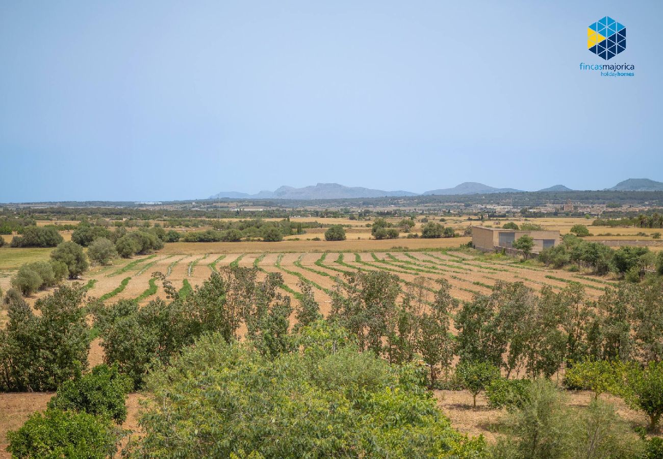Casa en Sant Joan - Villa Sa Pleta