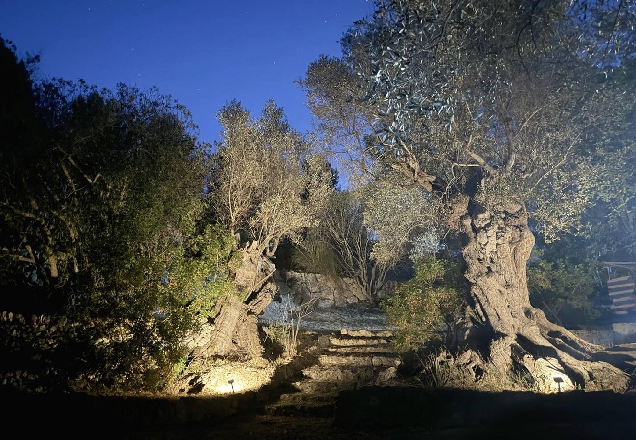 Casa en Puigpunyent - Ses Oliveres