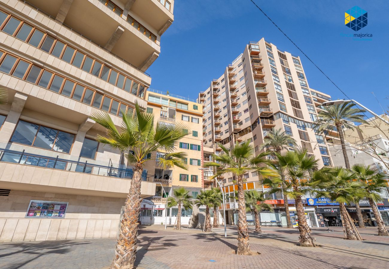 Apartamento en Palma de Mallorca - Apartamento Auditorium
