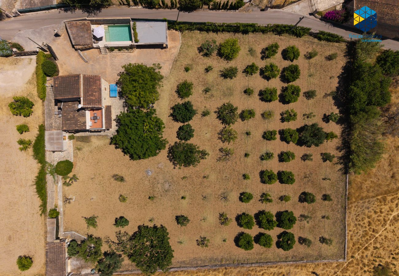 Villa en Alaro - Villa Son Sant Joan