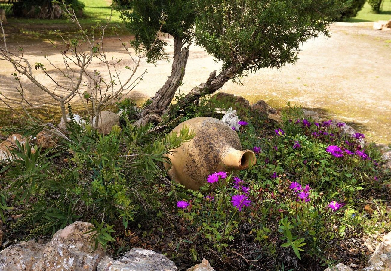 Ferienhaus in LLucmajor - Casa Julia