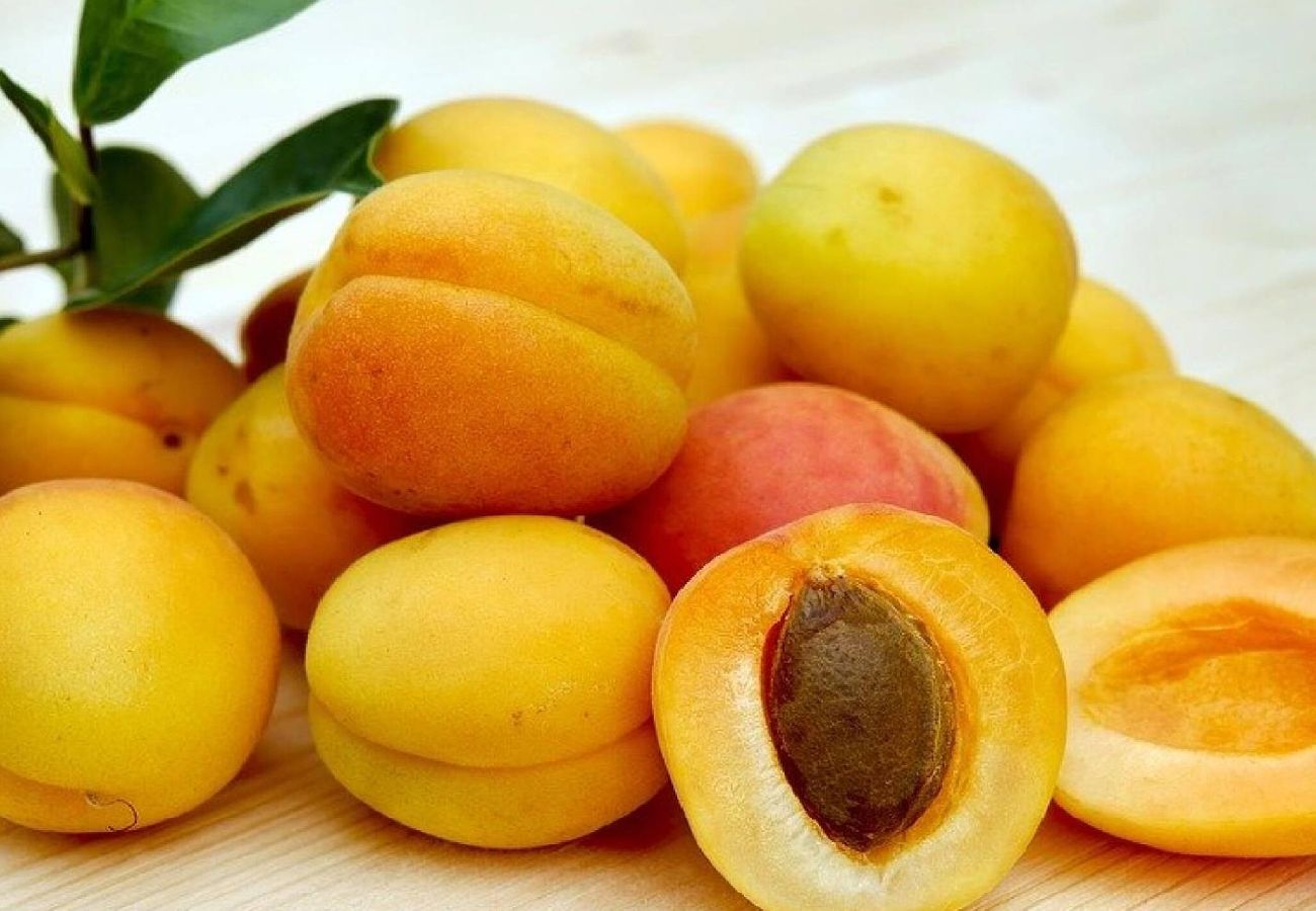 Ferienhaus in Porreres - Can Torres