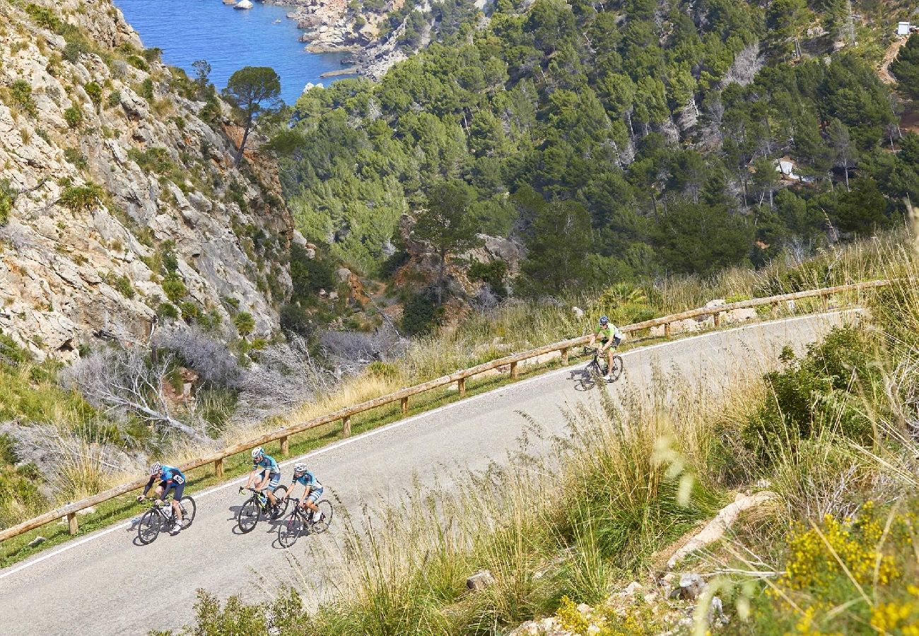 Villa in LLucmajor - Villa Major 88