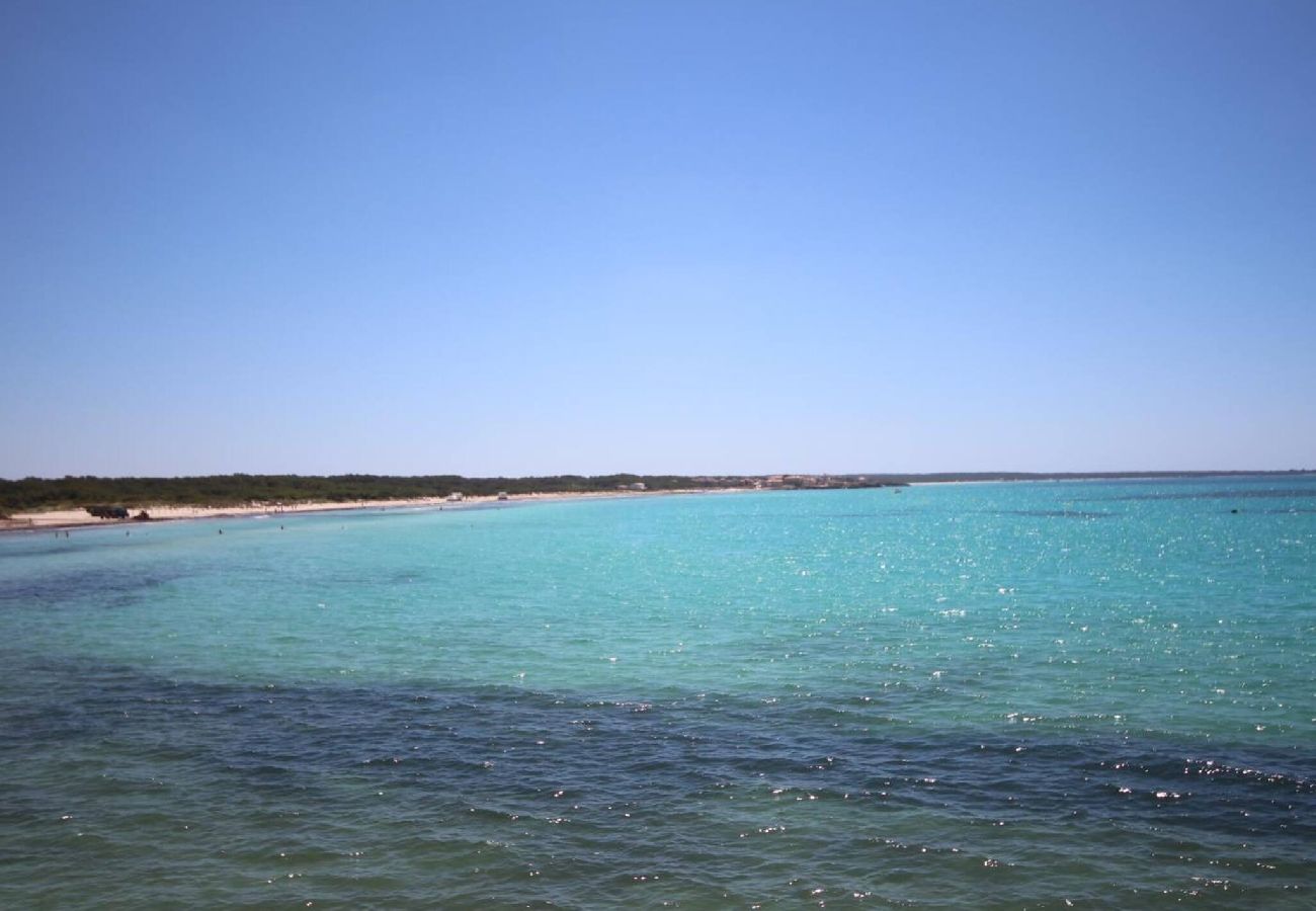 Ferienhaus in Sa Rapita - Casa Díaz