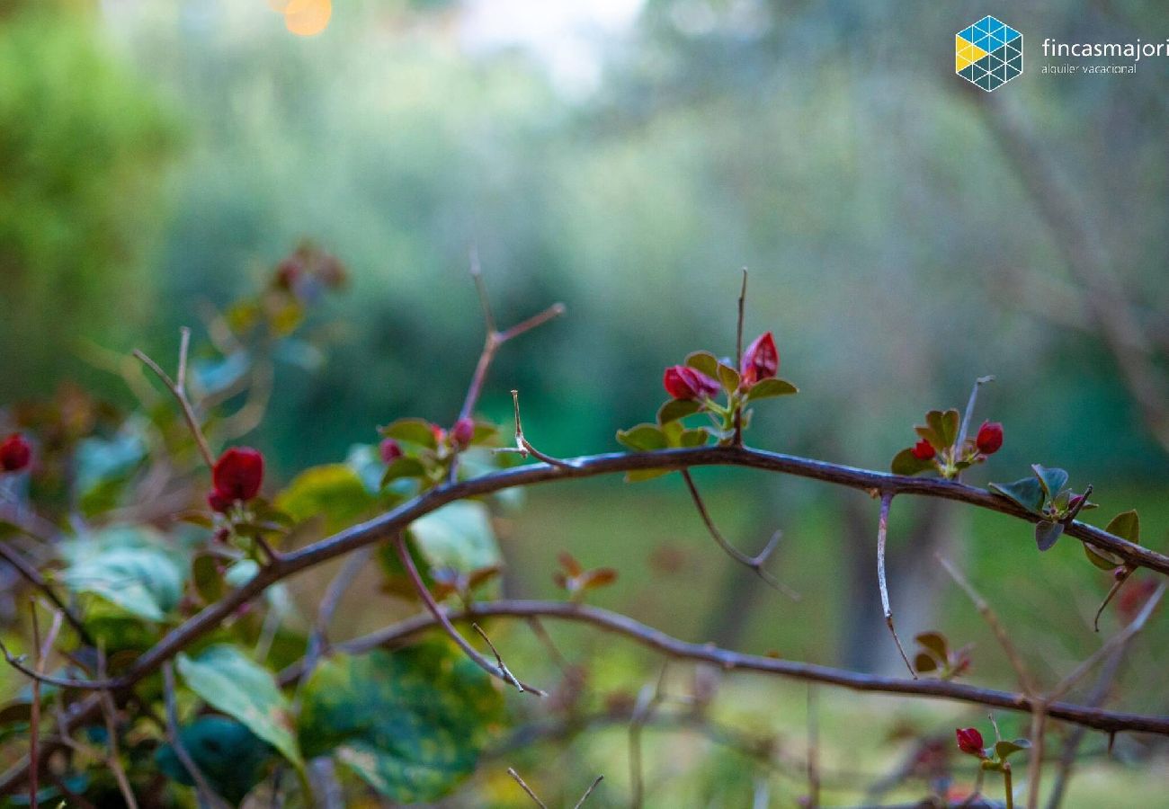 Ferienhaus in Manacor - MandM House