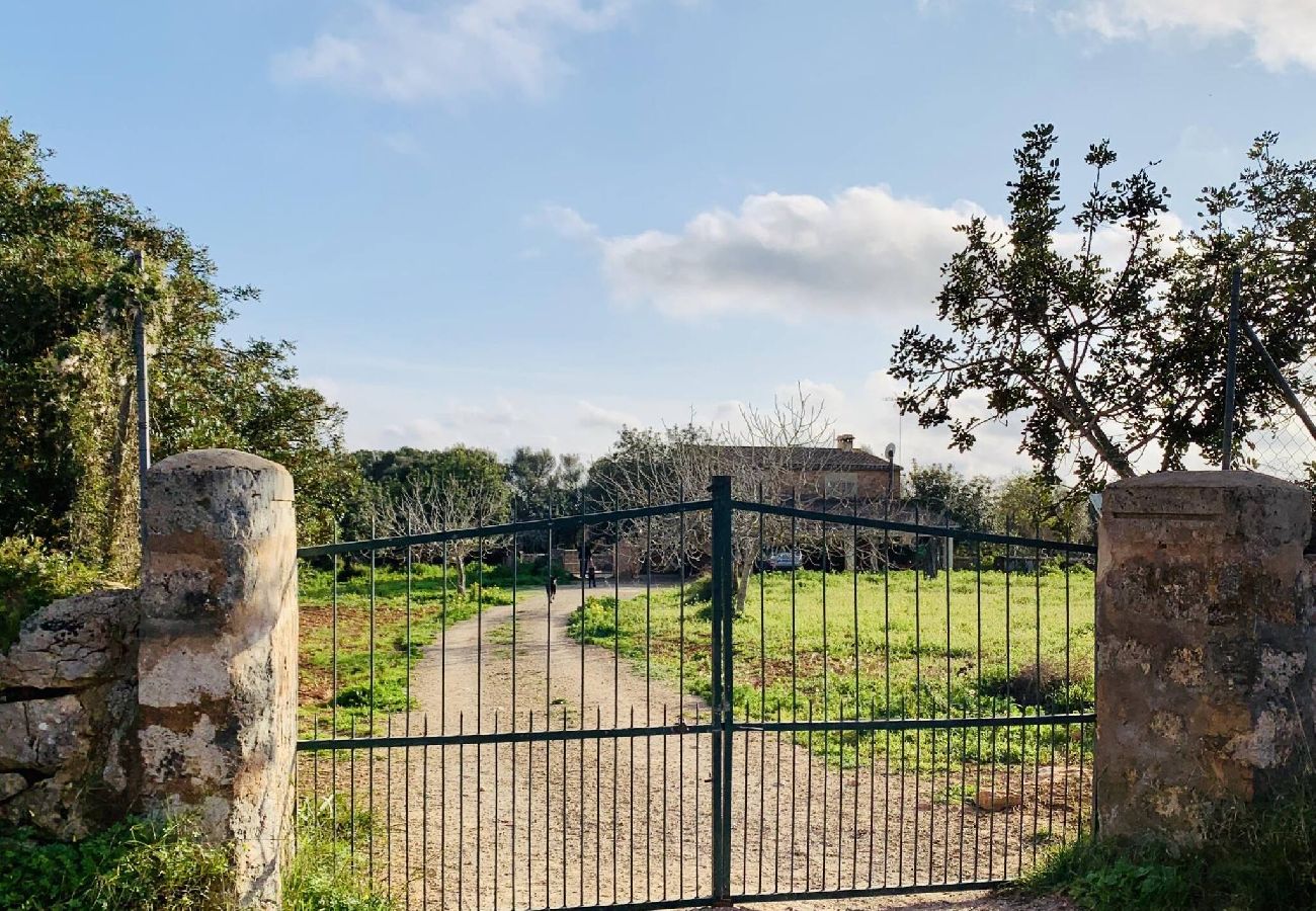 Ferienhaus in LLucmajor - Cas Retat Paris