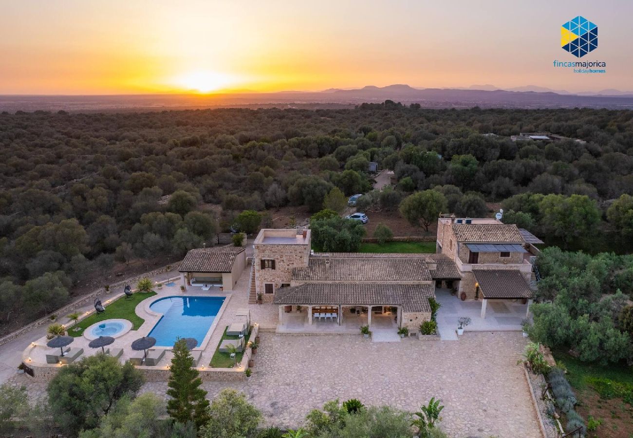 Ferienhaus in Ses Salines - Finca rural S´Art 9