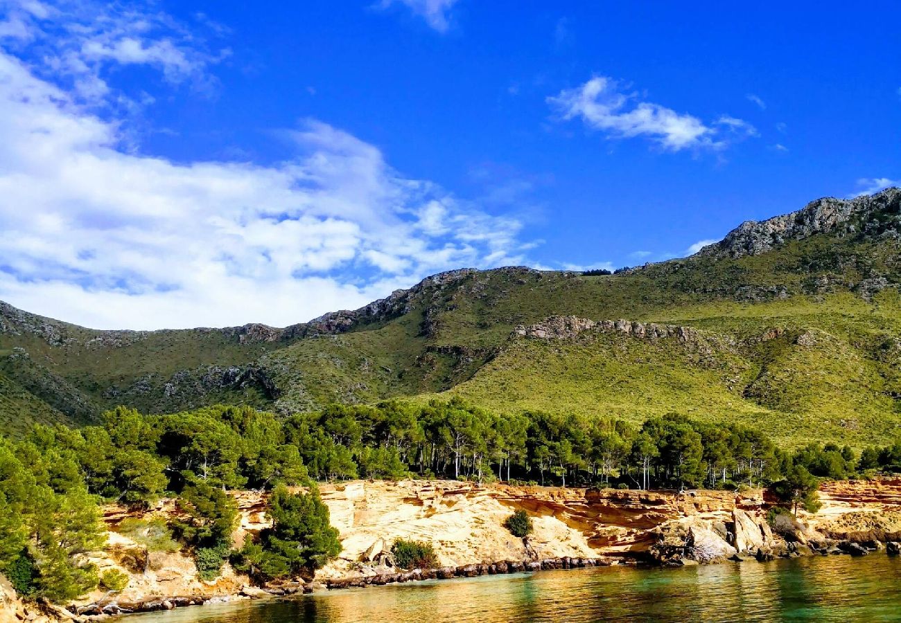 Ferienhaus in Arta - Finca La Siesta Nou