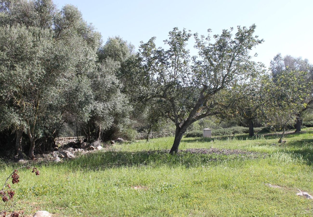 Ferienhaus in Son Servera - Can Bernat