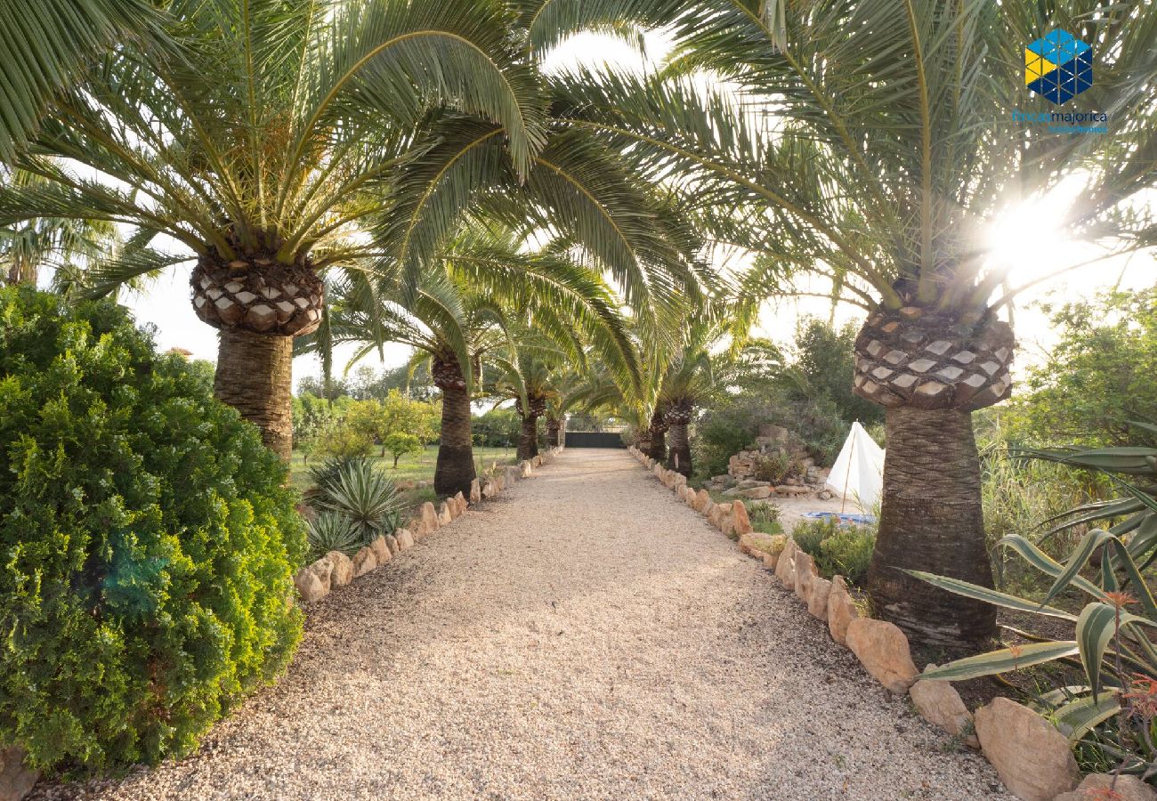 Ferienhaus in LLucmajor - Finca Mica