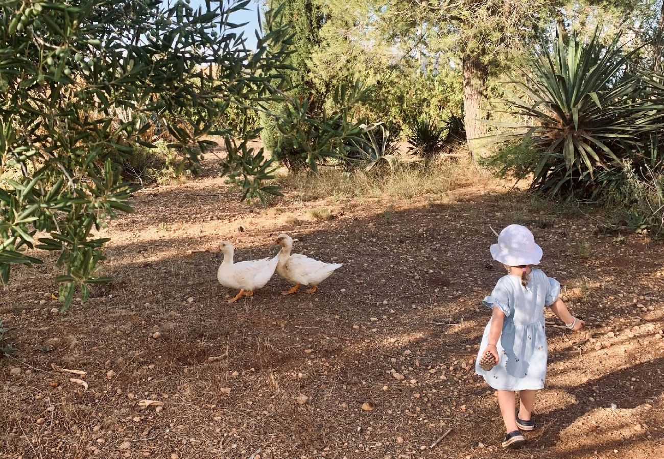 Ferienhaus in LLucmajor - Finca Mica