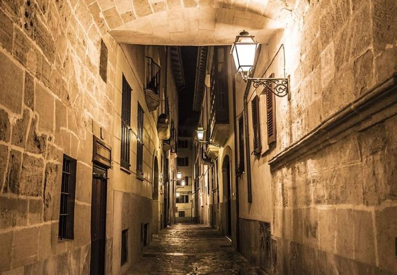 Ferienhaus in Palma de Mallorca - Can Montis