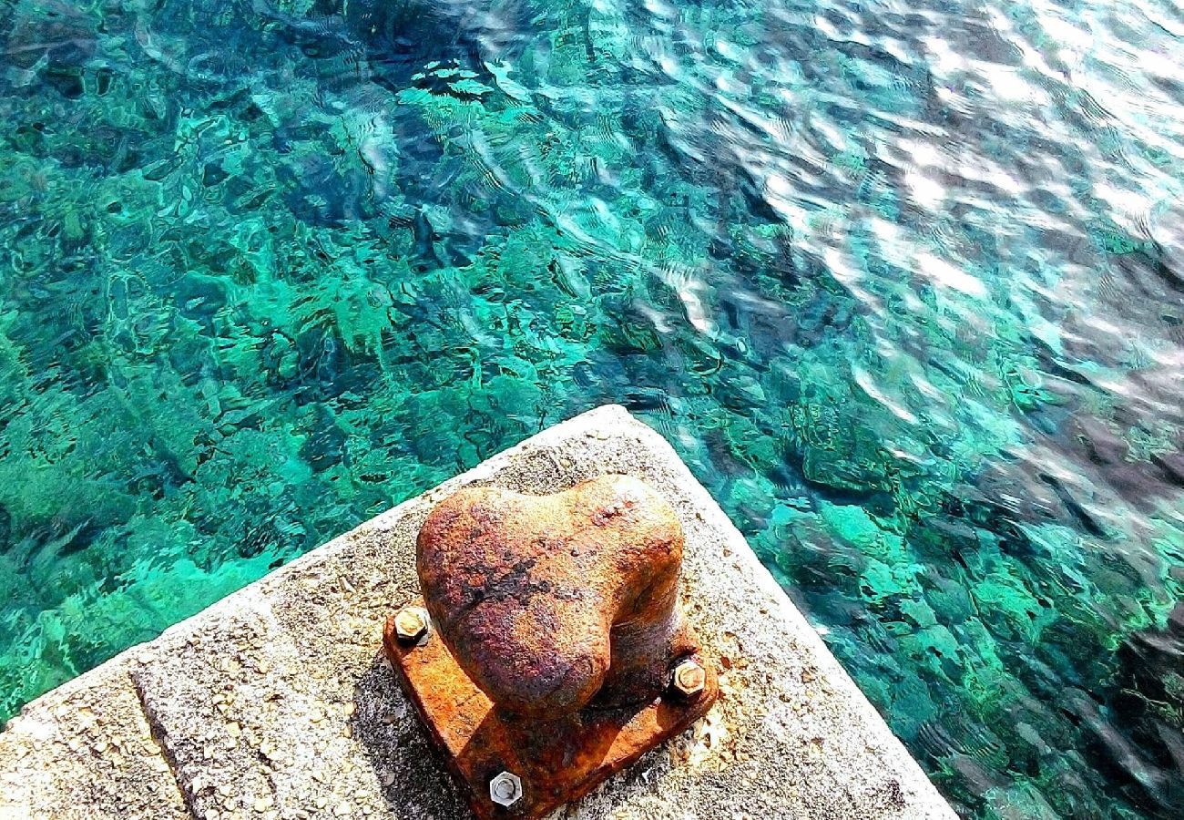 Ferienhaus in Palma de Mallorca - Can Montis