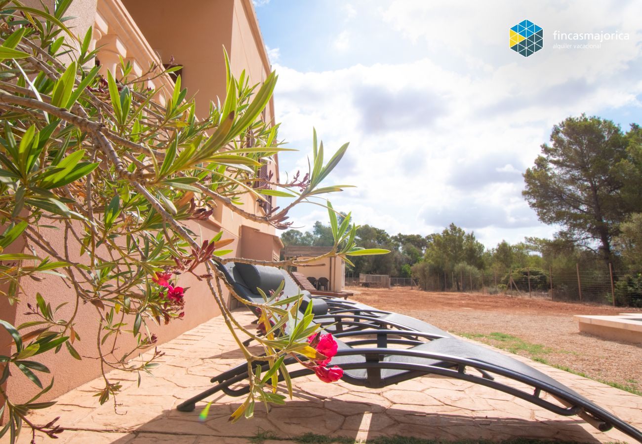 Ferienhaus in LLucmajor - Casa Na Corassina