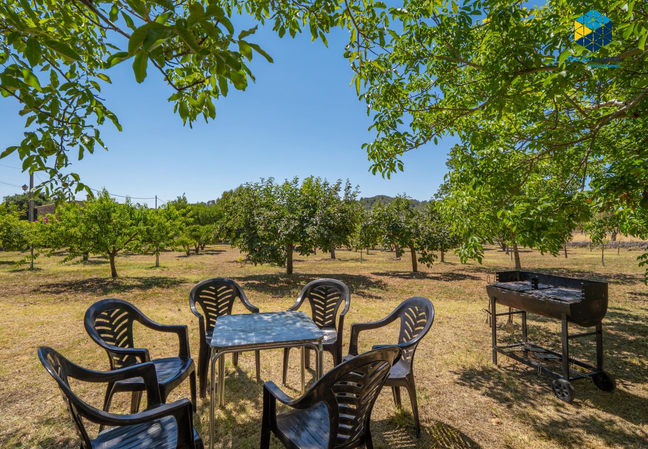 Villa in Alaro - Villa Son Sant Joan