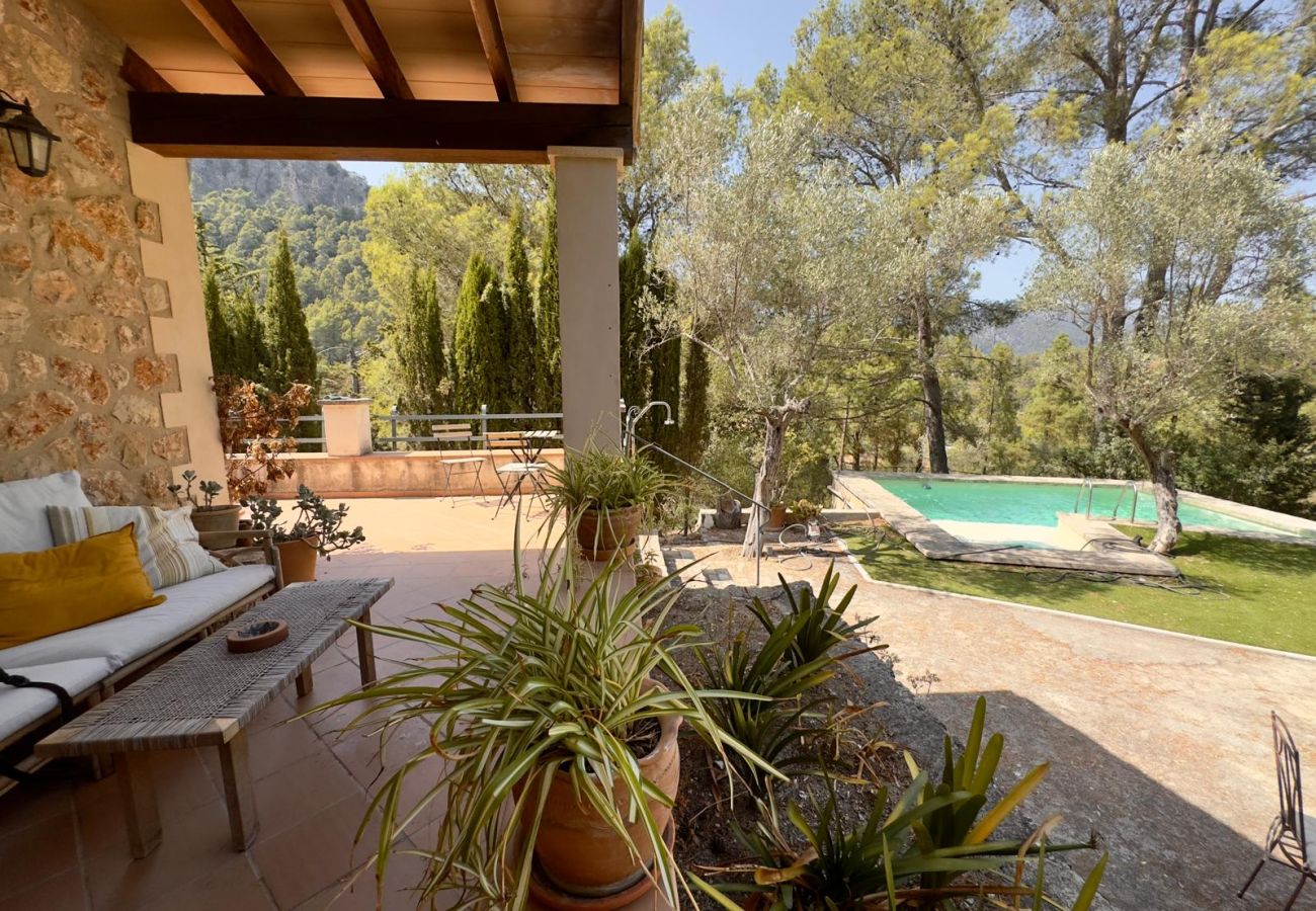 House in Puigpunyent - Ses Oliveres