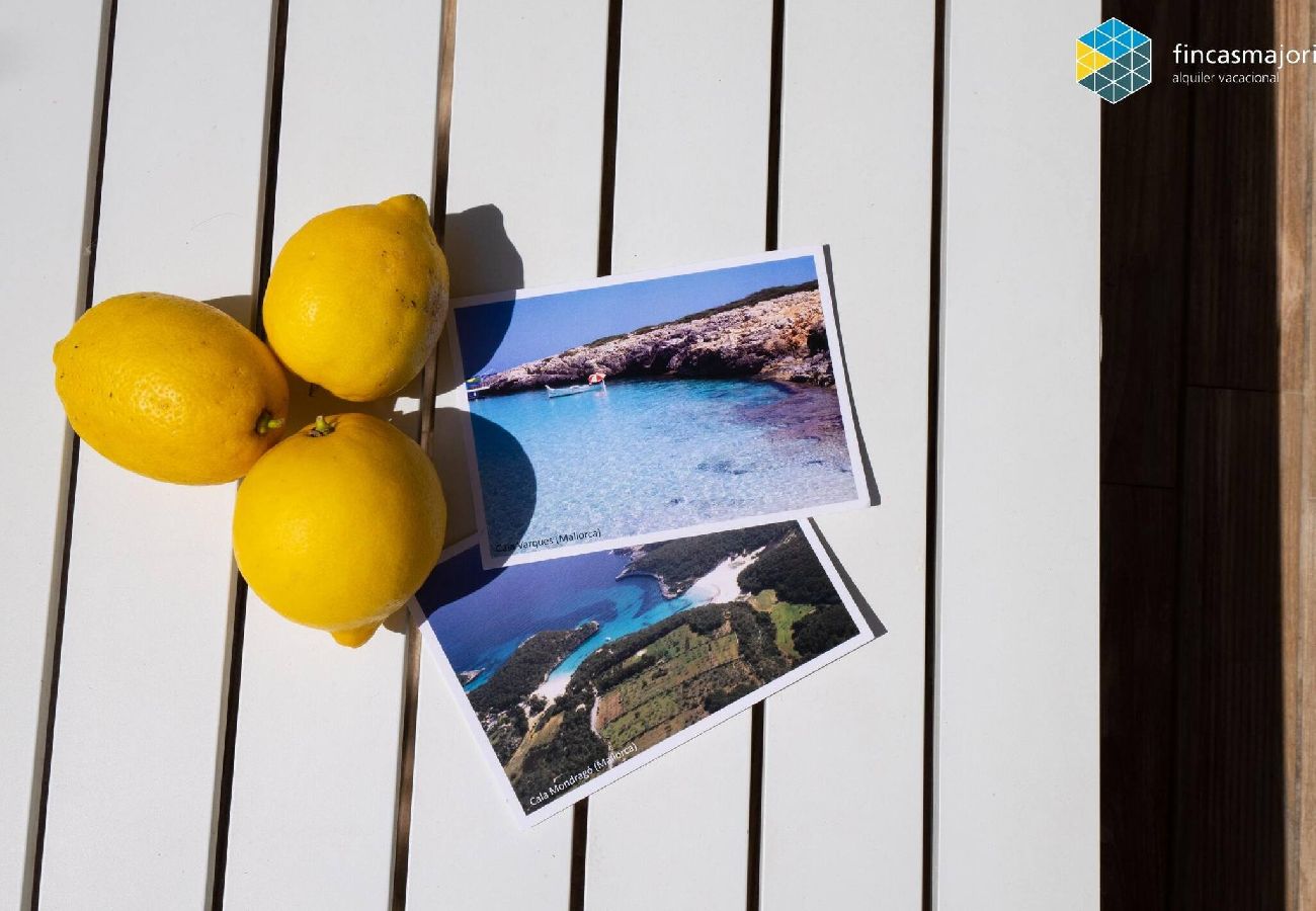 House in Manacor - Casa Marco Polo