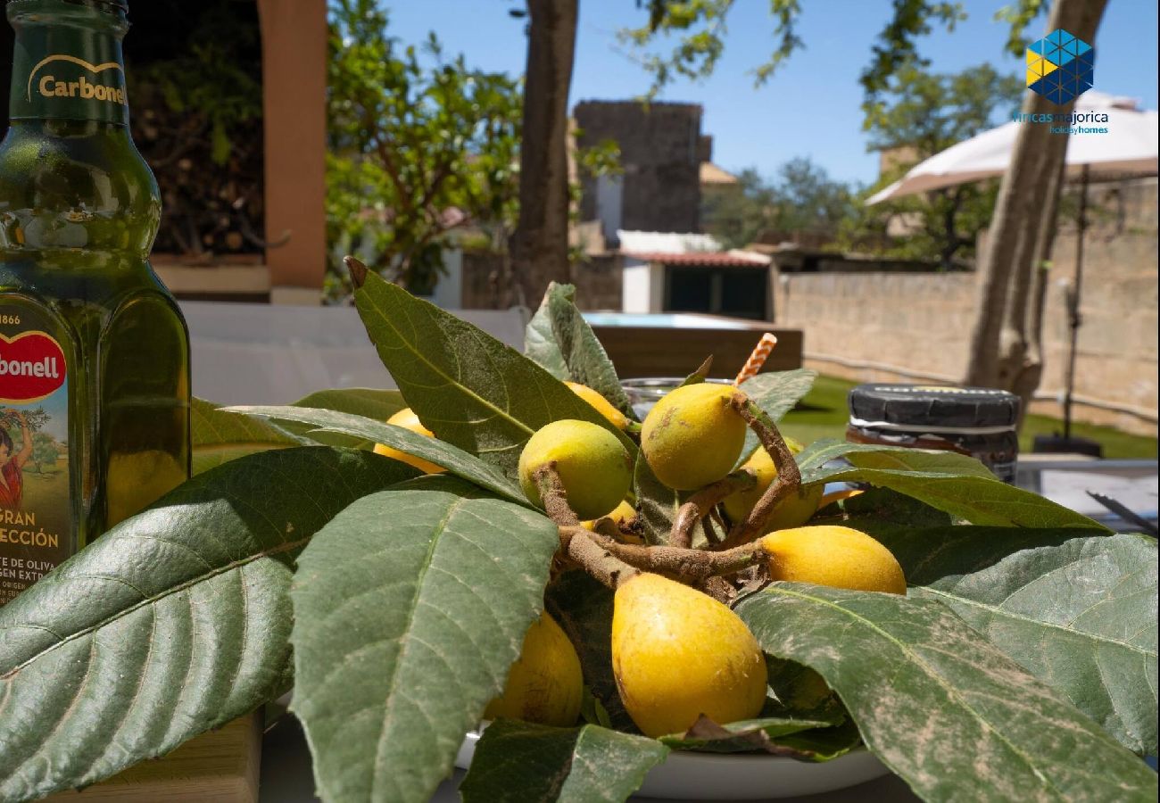 House in LLucmajor - Ca Sa Comare