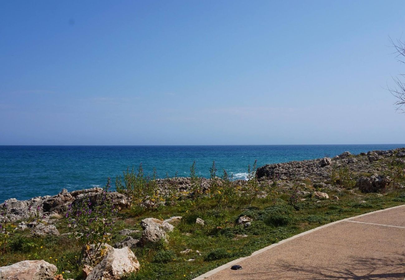 House in Manacor - Cas Bufador