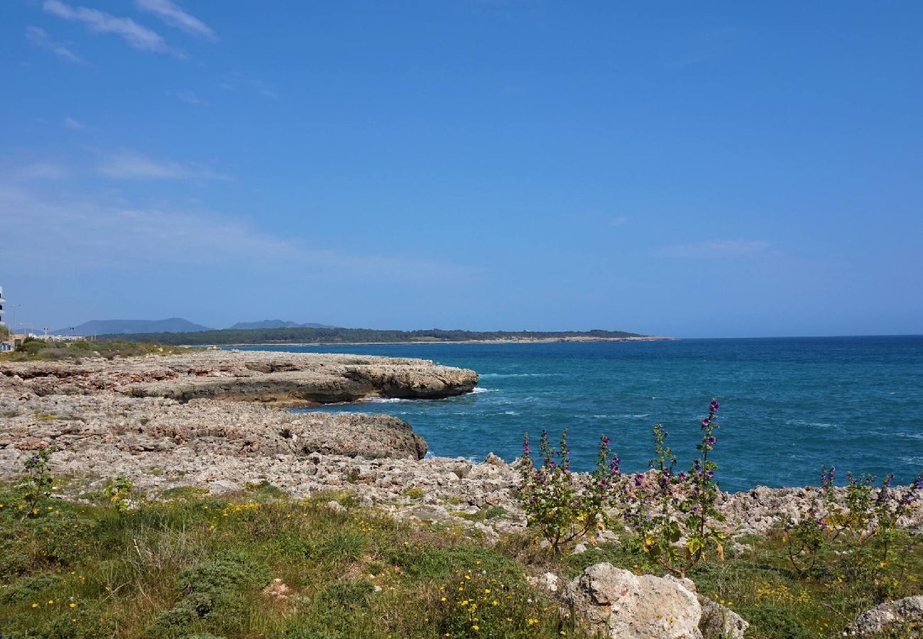 House in Manacor - Cas Bufador