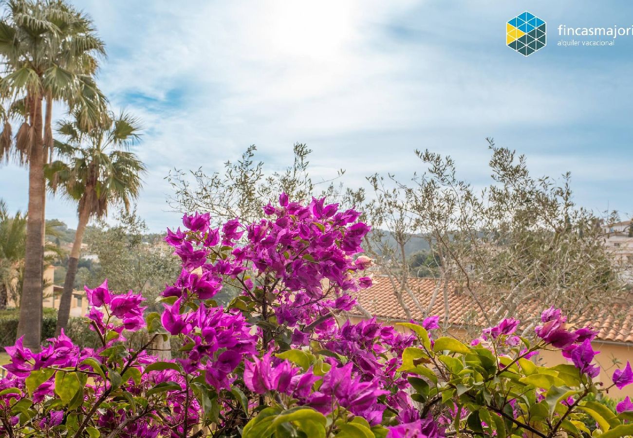 House in Manacor - Casa Josemar