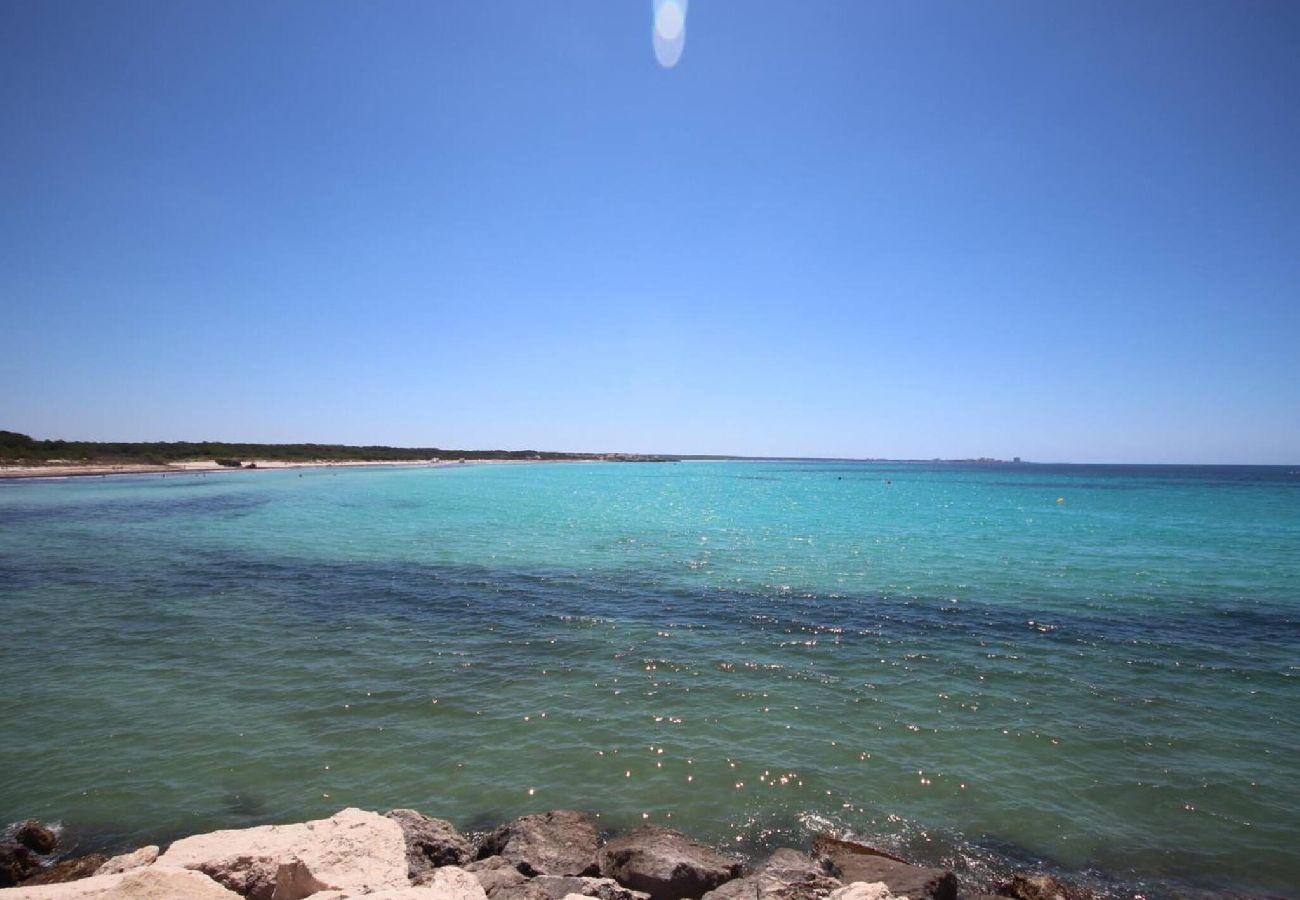 House in Sa Rapita - Casa Díaz