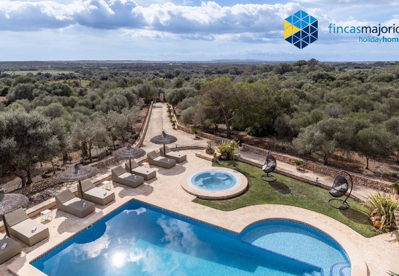 House in Ses Salines - Finca rural S´Art 9