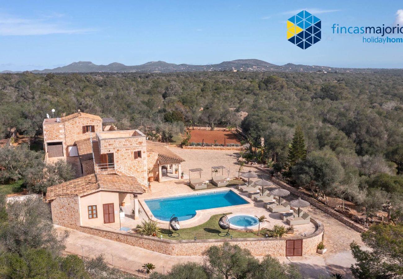 House in Ses Salines - Finca rural S´Art 9