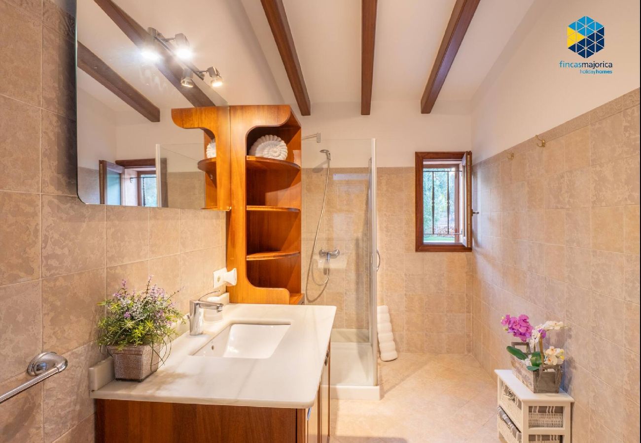 House in Ses Salines - Finca rural S´Art 9