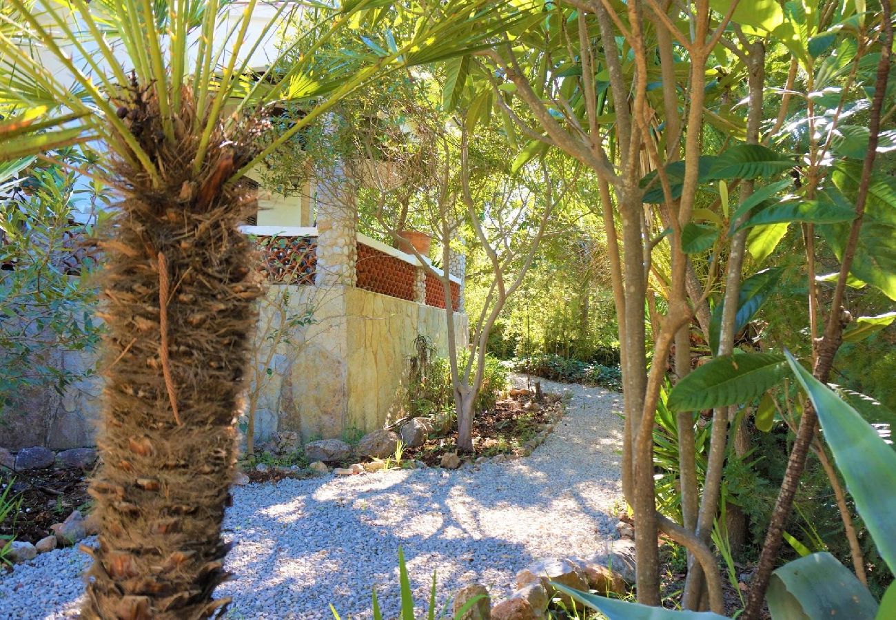 House in Arta - Finca La Siesta Nou