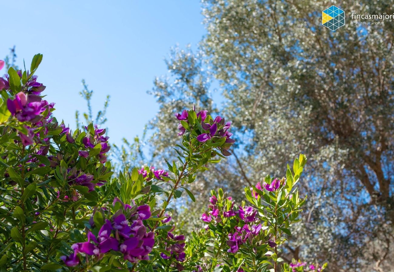 House in Caimari - Can Moreu