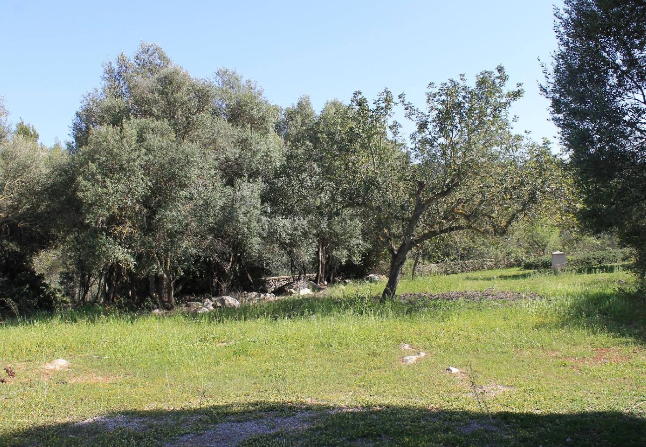 House in Son Servera - Can Bernat