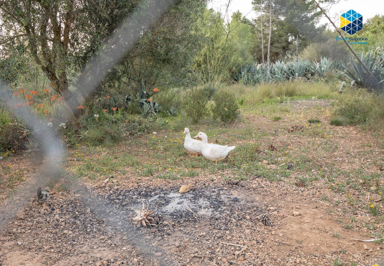 House in LLucmajor - Finca Mica
