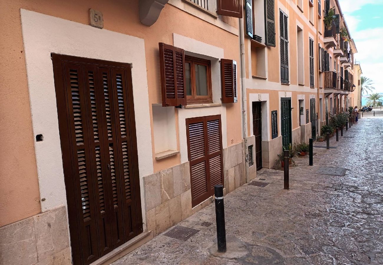 Apartment in Palma  - Apartamento Sa Calatrava