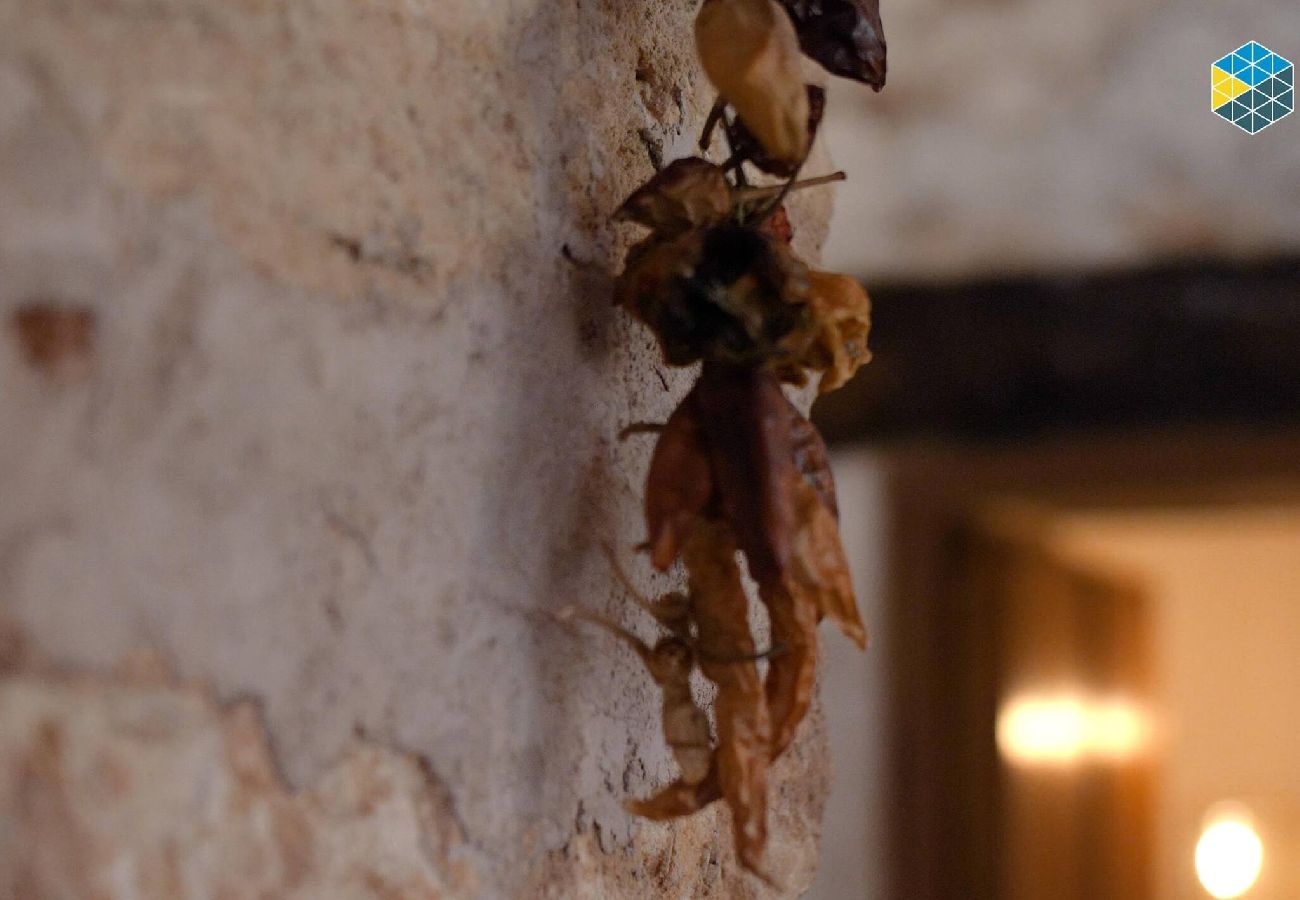 House in Lloret de Vistalegre - Finca na Pruna Holiday Home