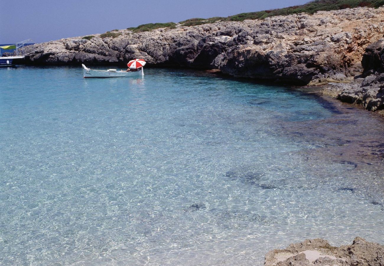 House in Porto Cristo - Can Tassi