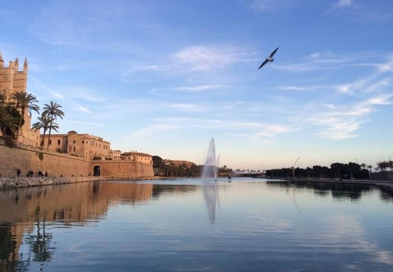 House in Palma de Mallorca - Can Montis