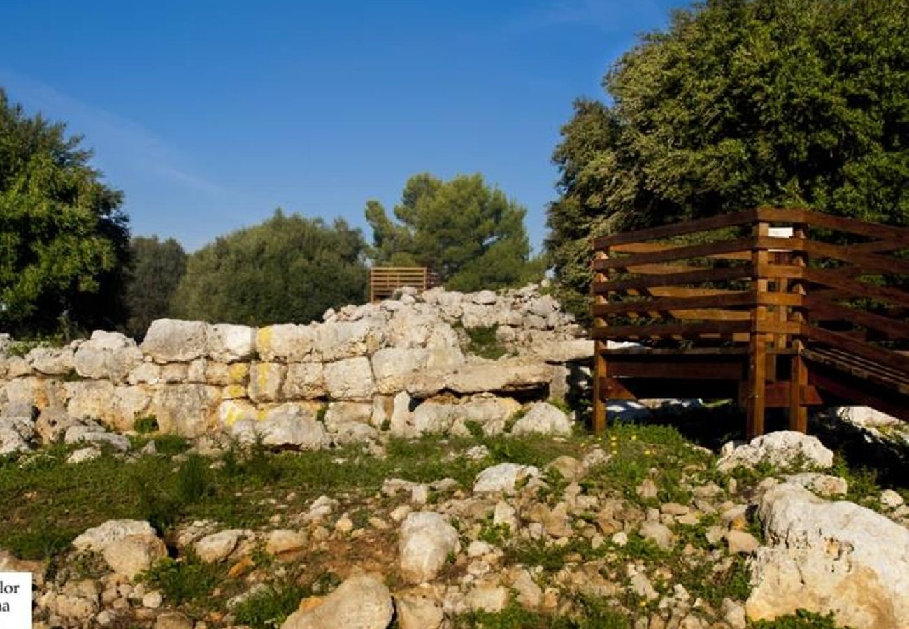 Apartment in S'Illot - Apartamento Antic 101 Pax 5